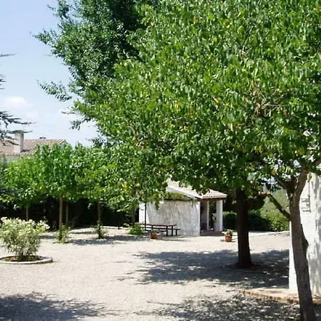 Eucaliptus *