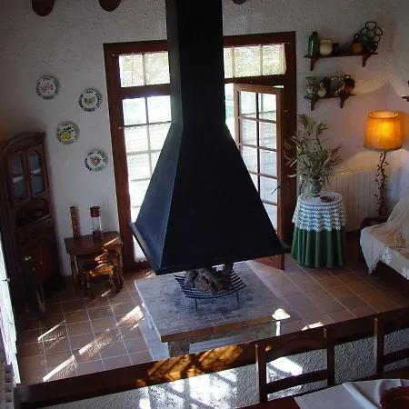 Eucaliptus * Montferri